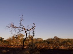 Australienreise 26